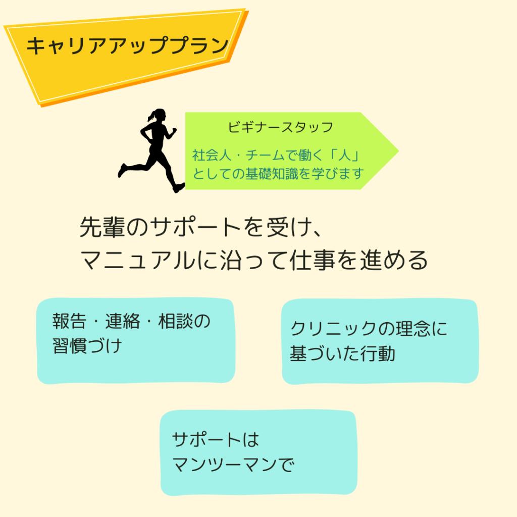 キャリア＜beginnerスタッフ＞