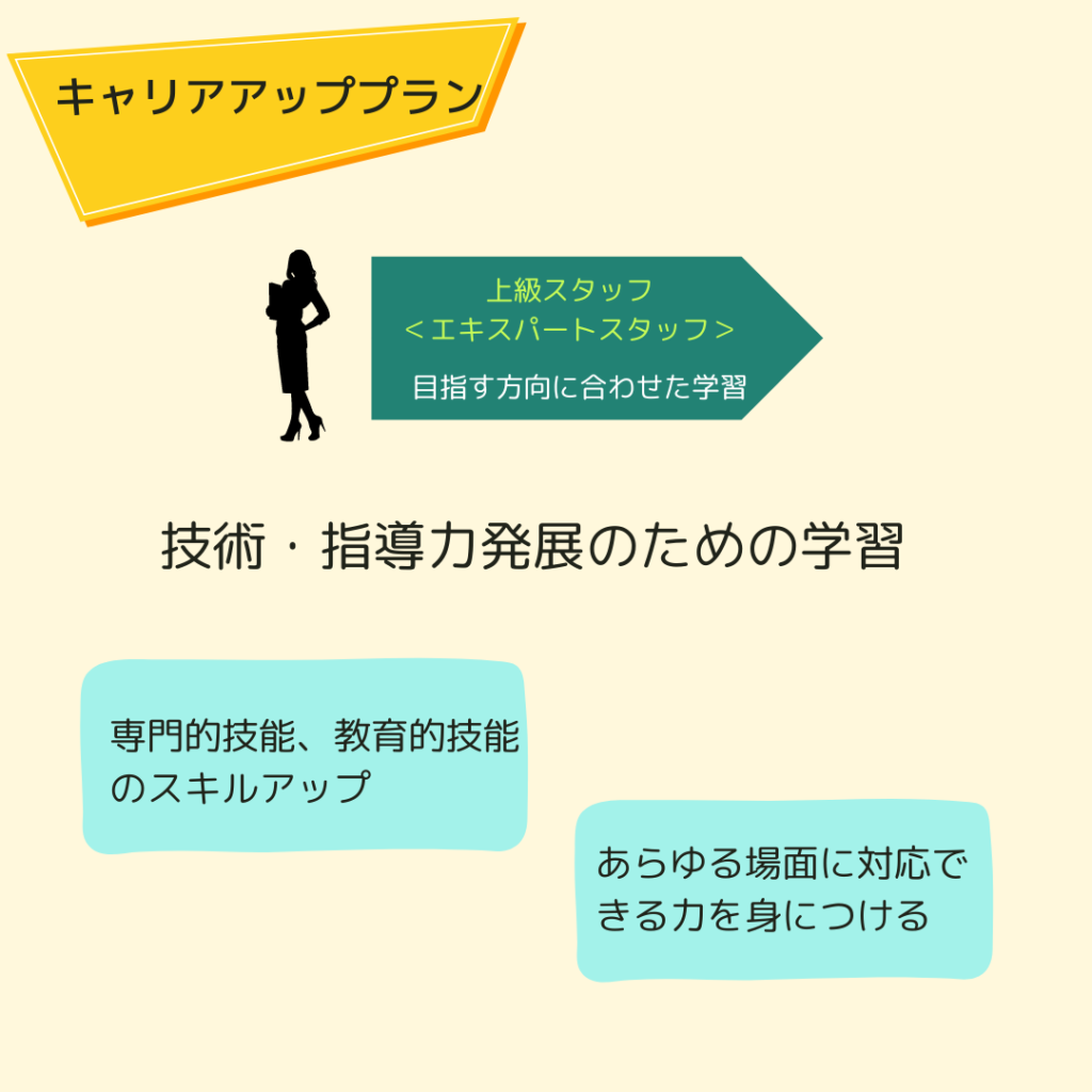 キャリア＜エキスパートスタッフ＞