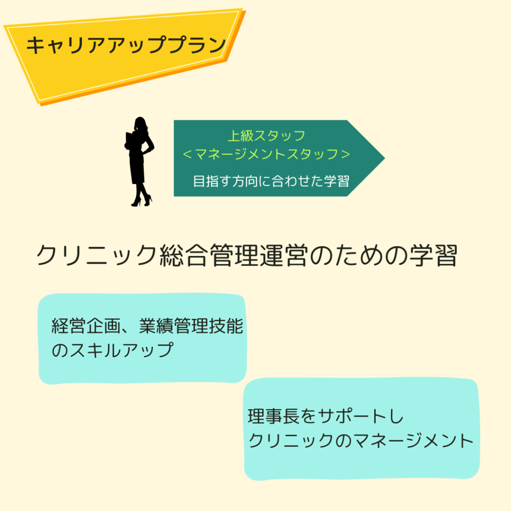 キャリア＜マネージメントスタッフ＞