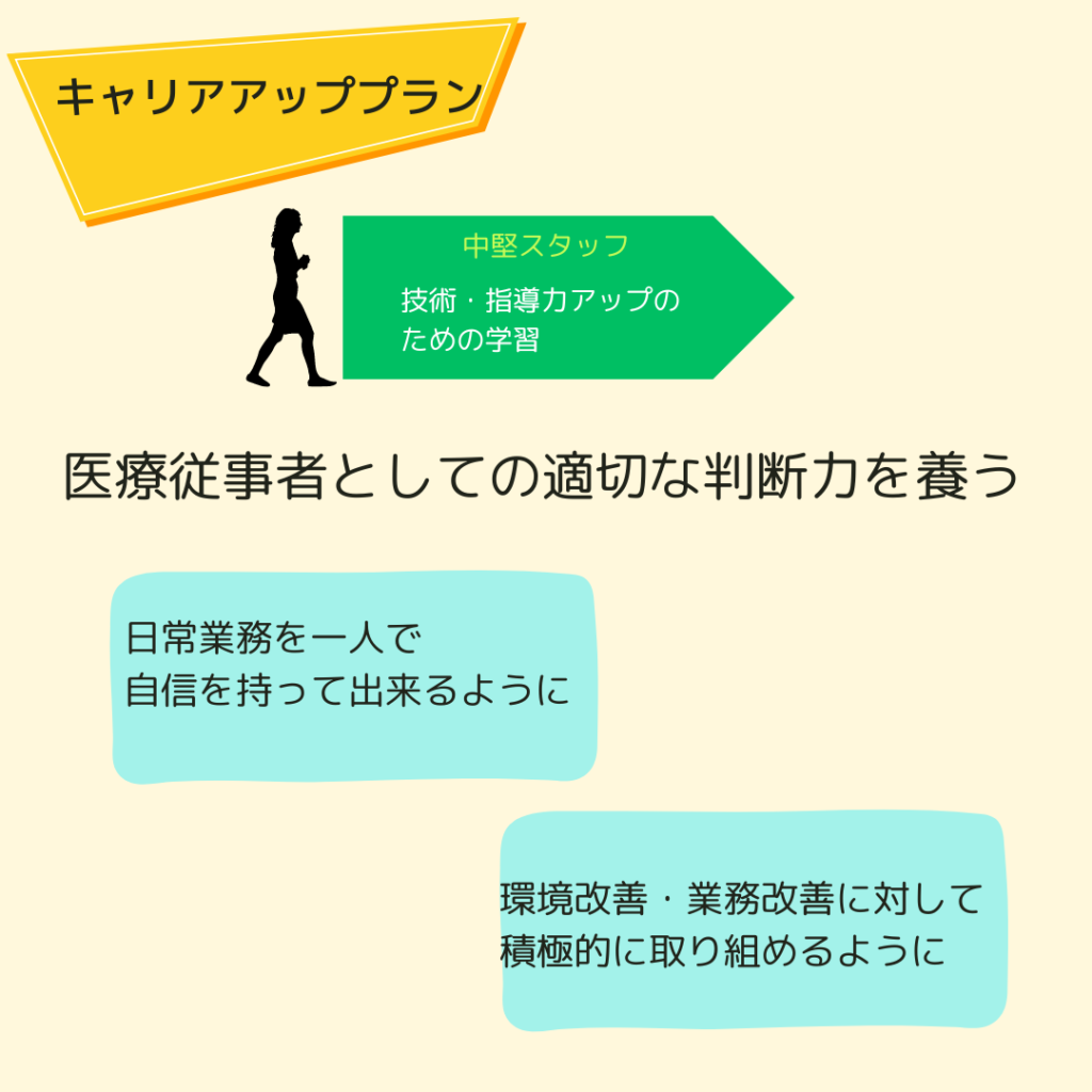 キャリア＜中堅スタッフ＞